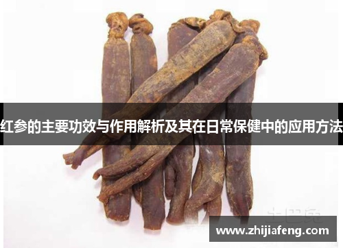 红参的主要功效与作用解析及其在日常保健中的应用方法